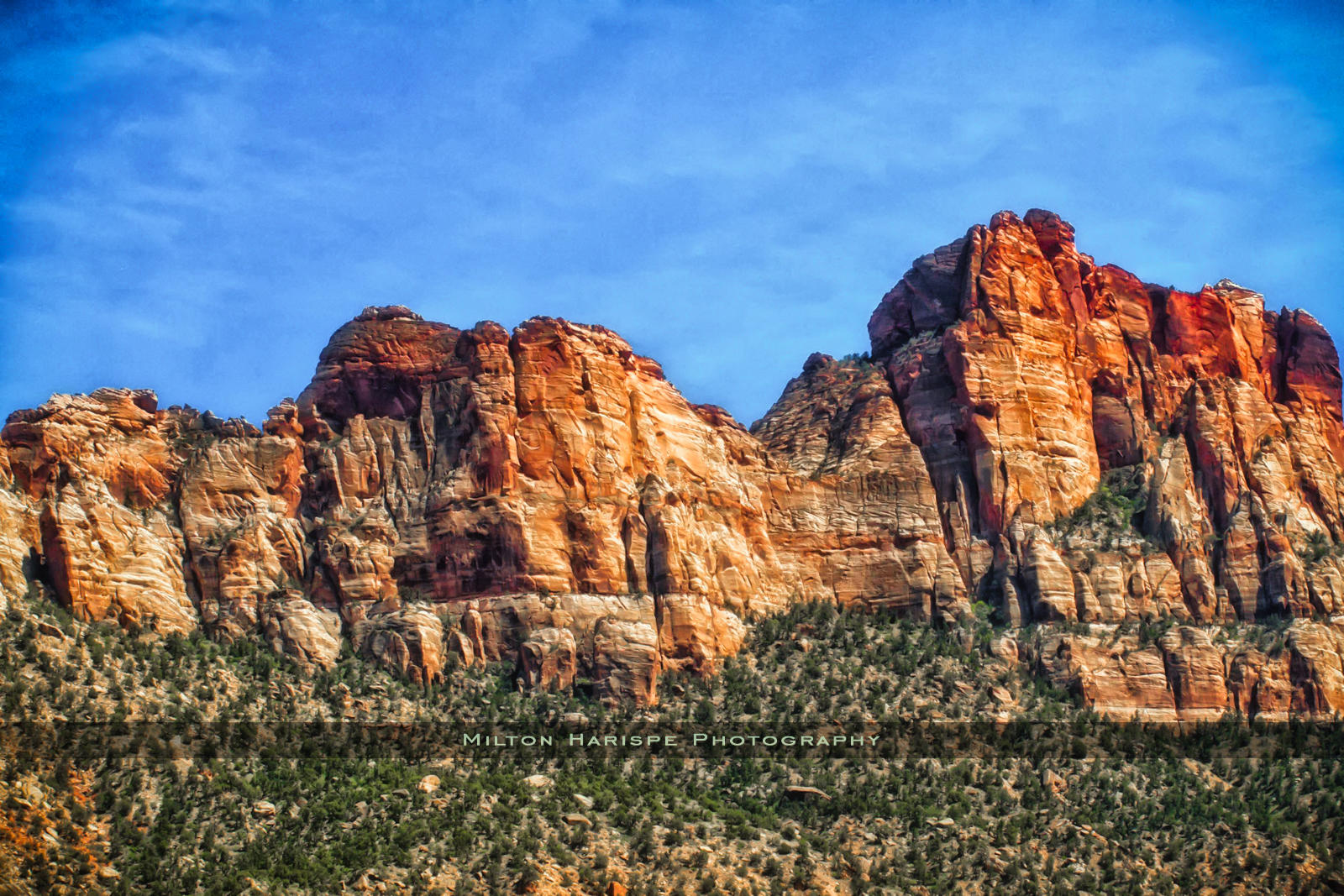 Zion National Park, Utah, USA